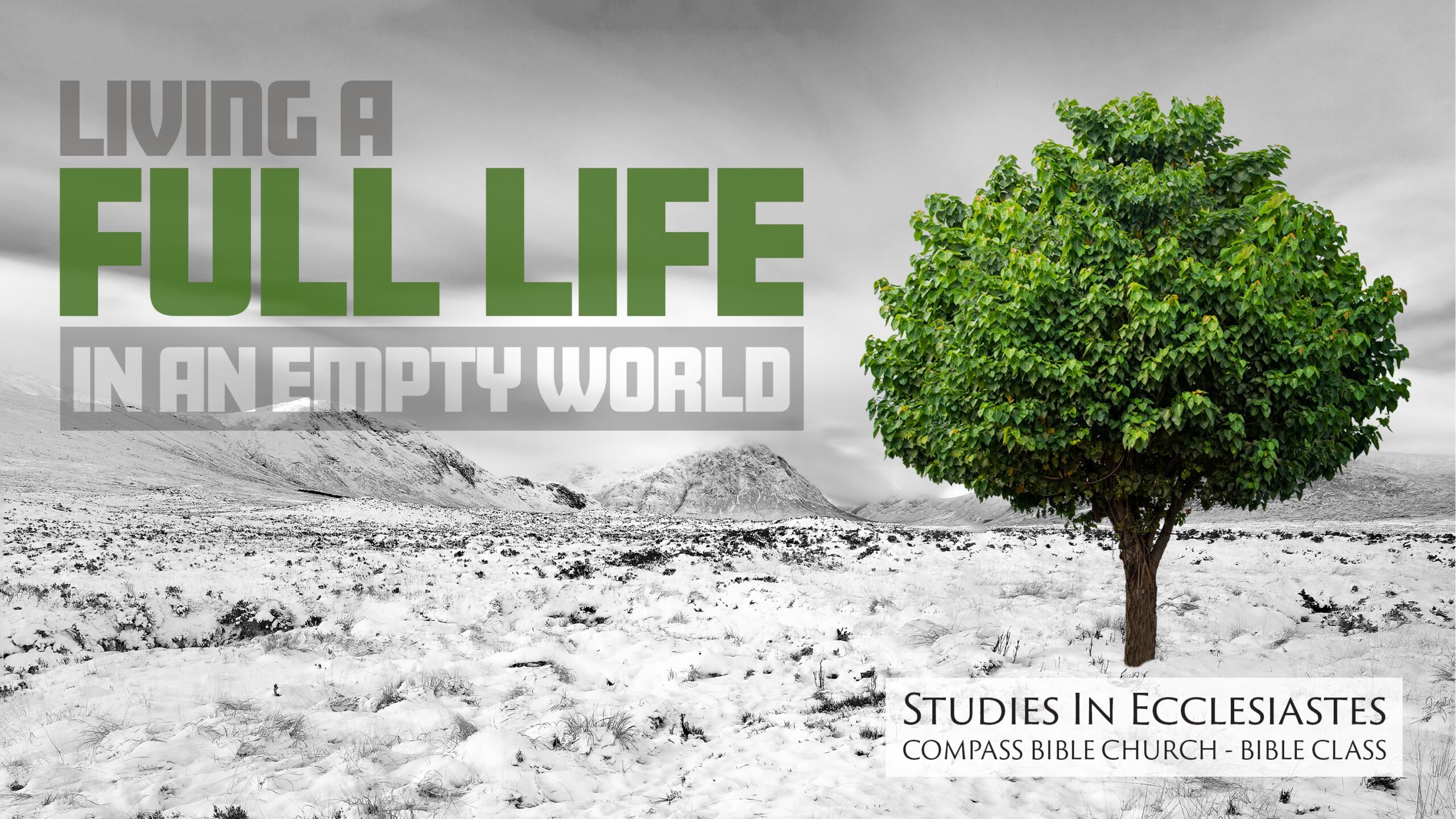LivingFullLife-Thumbnail-2 (1) LivingFullLife-Thumbnail-2 (1)